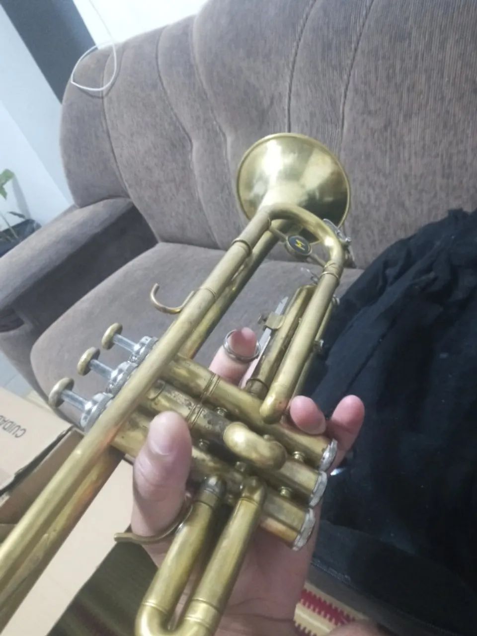 Trompete sib