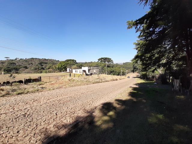 Terreno de 9.761 m² Guarapuava PR . px da Polijuta - Foto 2