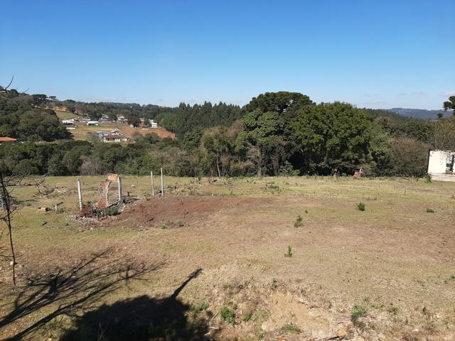 Terreno de 9.761 m² Guarapuava PR . px da Polijuta - Foto 8