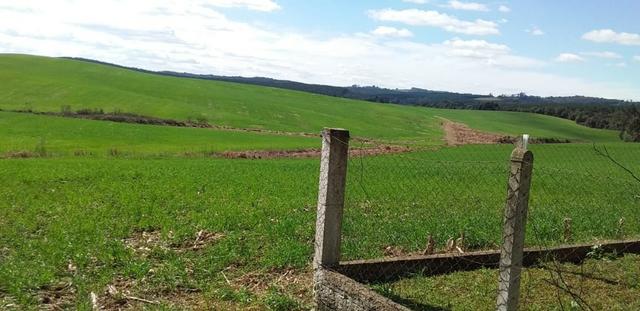 Fazenda Para Plantio de Grãos, Área Mecanizável - Foto 12