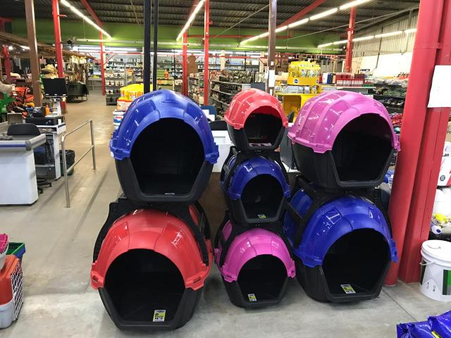 Acessórios para pet Shop em Fortaleza