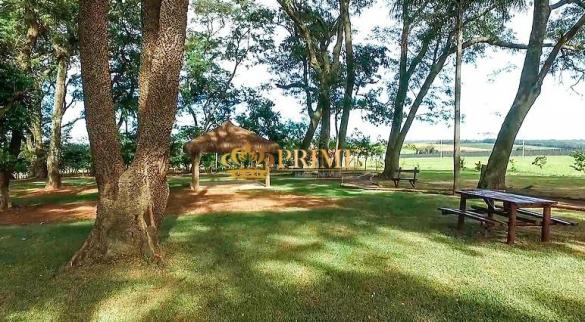 Galpão/depósito/armazém para alugar em Jardim primavera, Mogi mirim cod:BA004769 - Foto 14