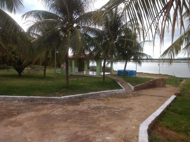 Chácara na beira do rio São Francisco ,há 80 km de Juazeiro - Foto 5