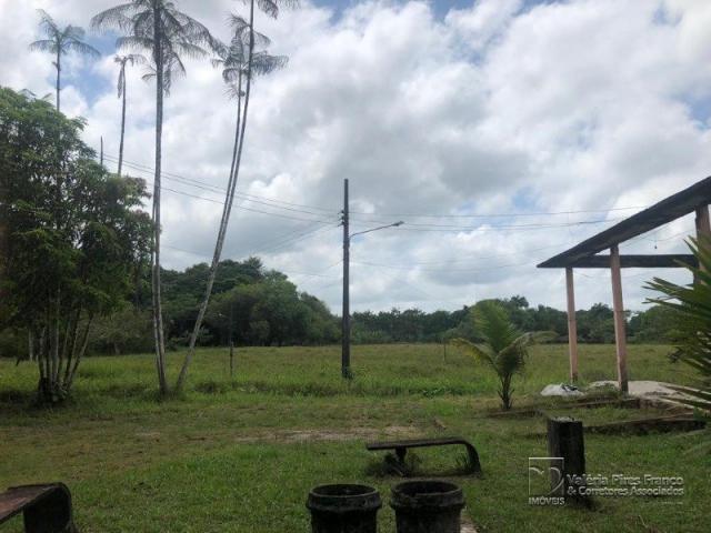 Sítio à venda em Maguari, Benevides cod:6752 - Foto 6