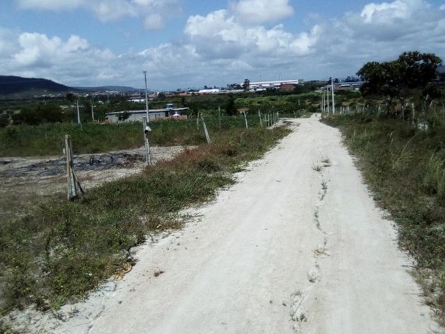 Vendo ou Troco lote 15 x 30 em bezerros - Foto 3