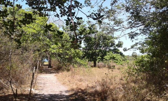 Sítio fundos para lagoa em Caucaia - Foto 11