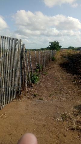 Vende-se terreno em Ocara - ce ou troco em outro terreno na região de Aquiraz - Foto 3