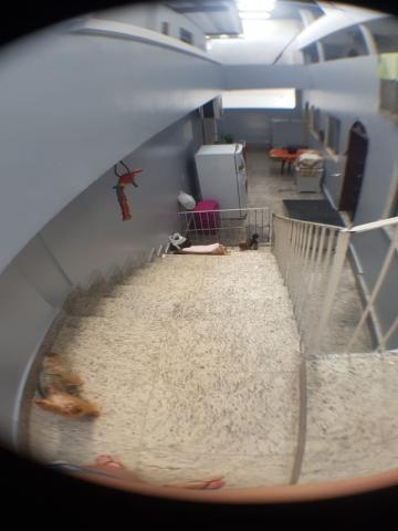 Casa duplex 6qts, 6 suítes, 4vgs, 600m² - Foto 12