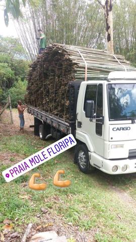 Bambu