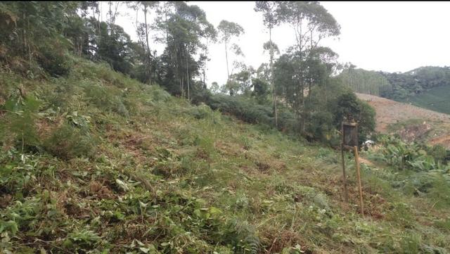 Vendo ou Troco Terreno 1.500m quadrados - Foto 4