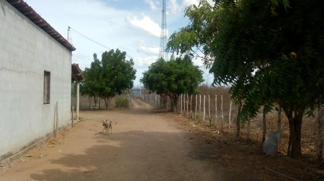 Vende-se terreno em Ocara - ce ou troco em outro terreno na região de Aquiraz - Foto 13