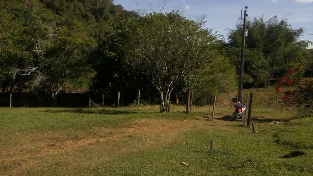 Fazenda e Cotas para Reposição Florestal - Foto 13