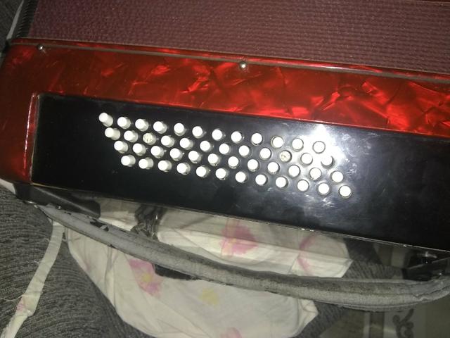 Acordeon dolphin 1500,00 - Foto 2