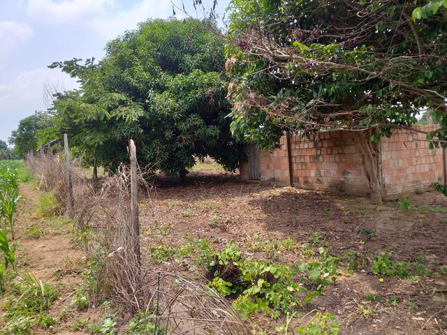 Vendo ou troco chácara - Foto 4