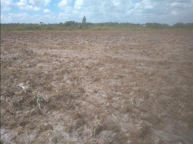 Sítio10 hectares, beira do asfalto - Foto 4