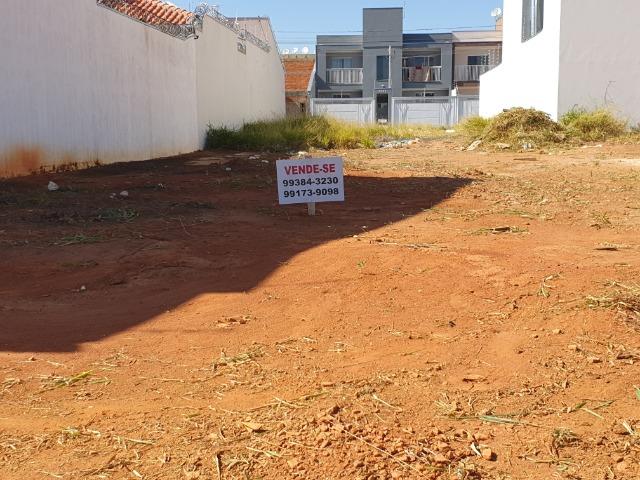 Terreno Residencial São Jerônimo - Foto 3