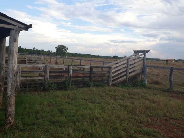 Fazenda 485 há Dupla Aptidão - Foto 4