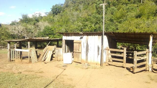 Fazenda e Cotas para Reposição Florestal - Foto 16