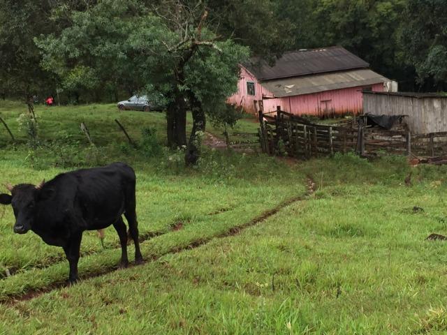 Chácara ótima localização baixou para 200.000,00 - Foto 3