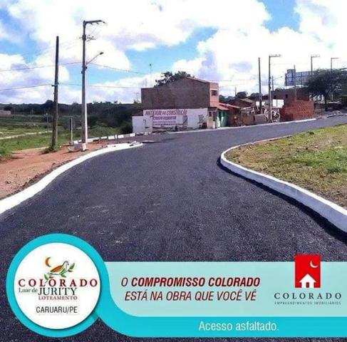 Lote da colorado na BR 104 - Sinal dividido - Mensais de 399- Pronto pra construir - Foto 9