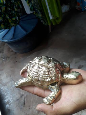Vendo sizero muito antigo - Foto 2