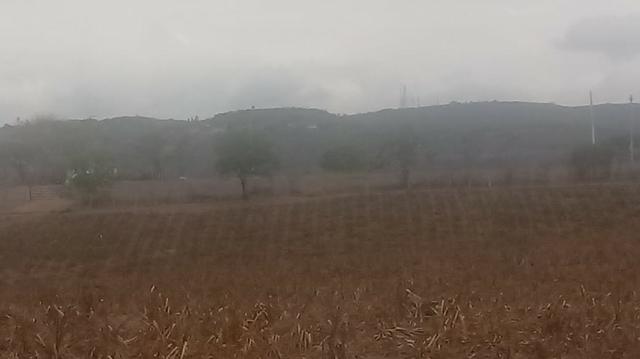 Ótima propriedade de 120 hectares, 70% plana, em Gravatá-PE. Por apenas R$ 780 mil! - Foto 12