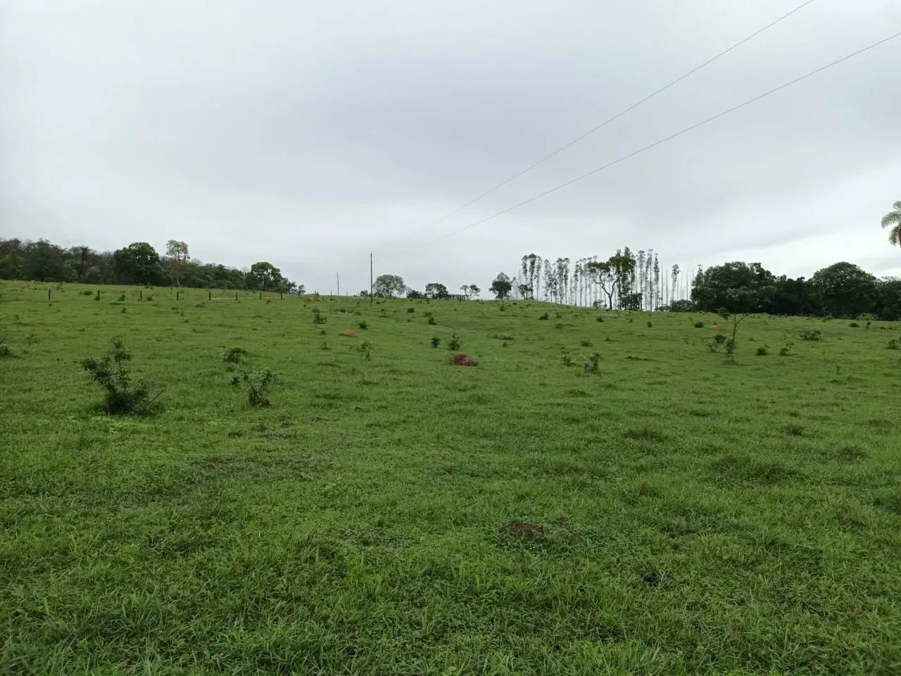 foto - Goiânia - Conjunto Vera Cruz