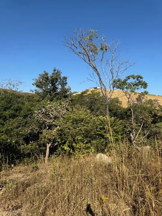 foto - Águas Lindas De Goiás - 