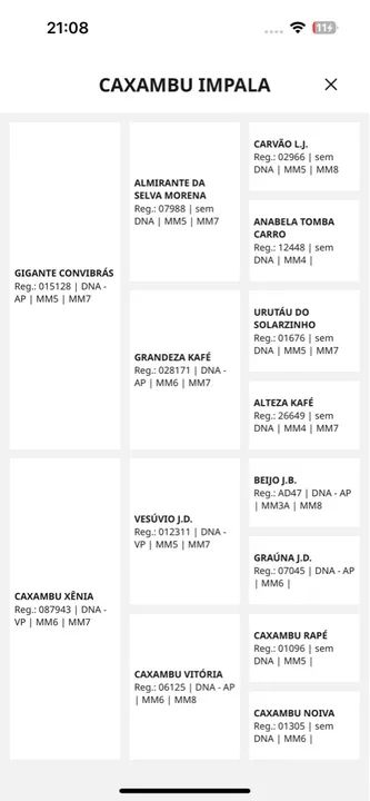 Cavalo MM registrado a venda !! - Foto 4
