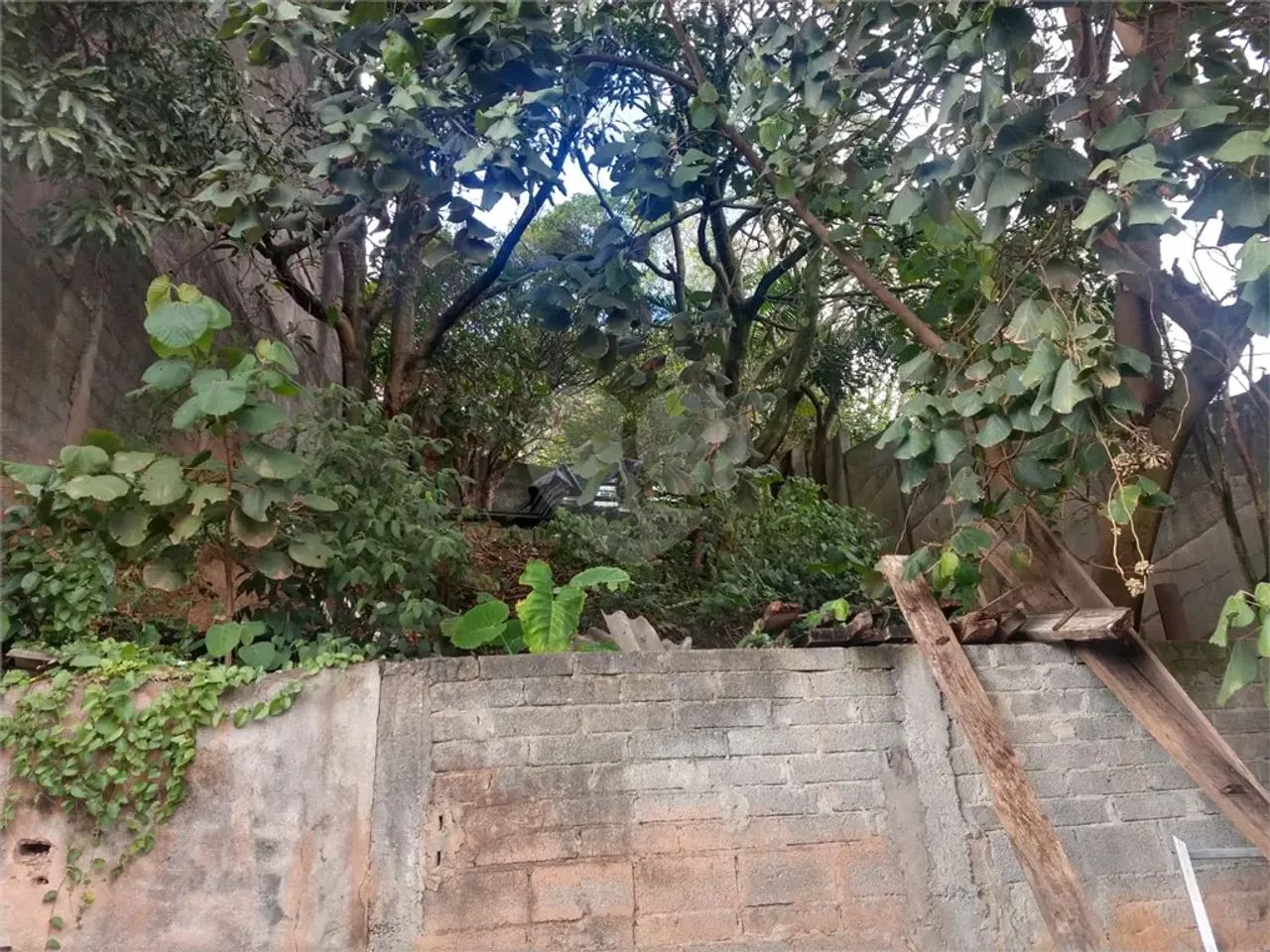 Terreno à venda em Pirituba - SP - Foto 2