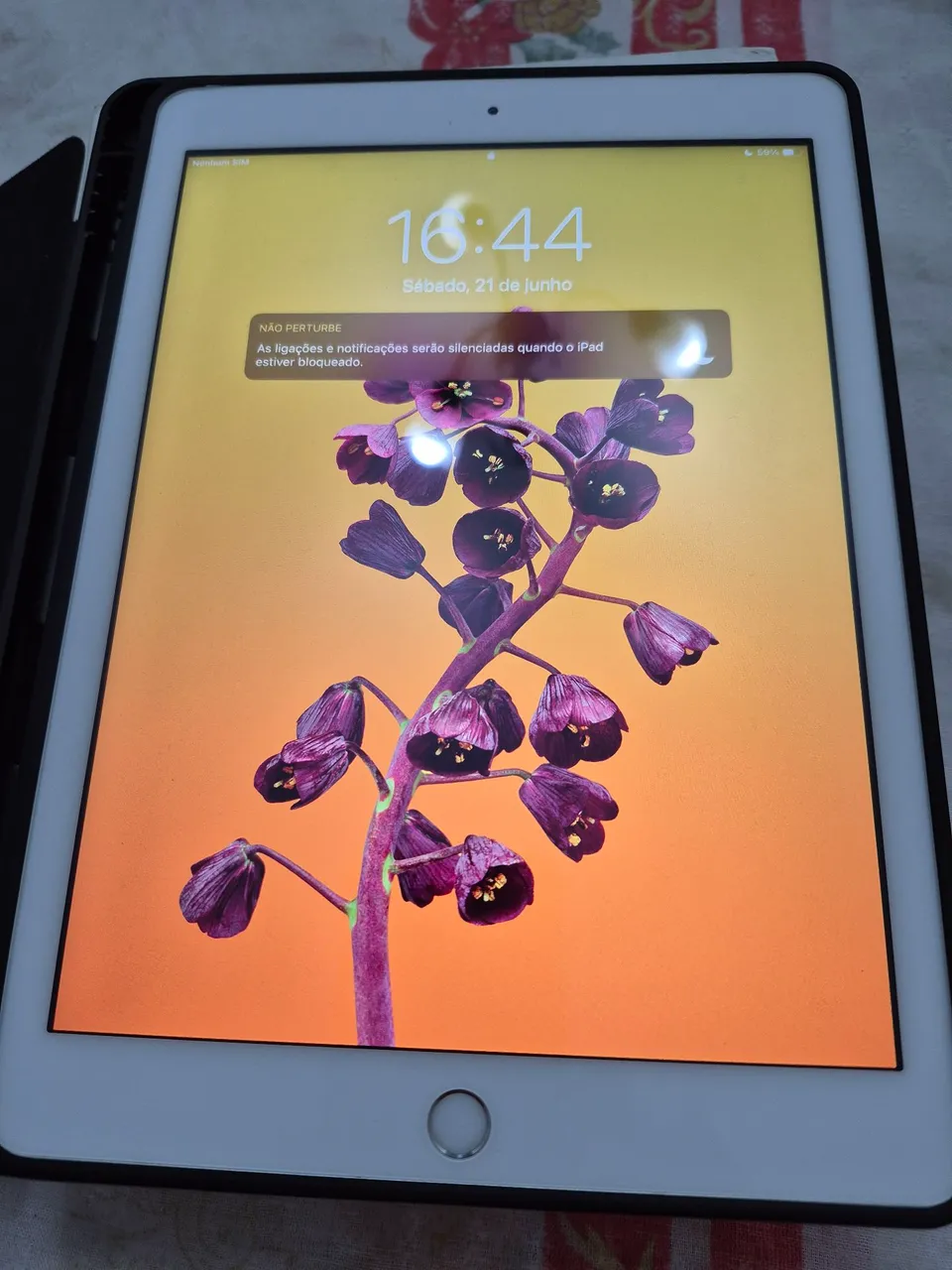 iPad Apple