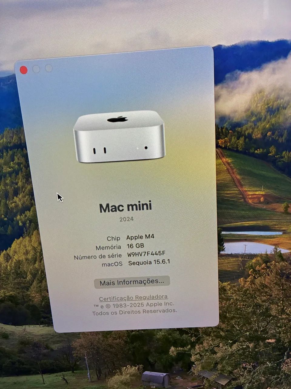 Mac Mini M4 おまけ付き 美品】Mac mini M4 16GB 256GB おまけ付き 美品）Mac Mini M4 16GB 256GB