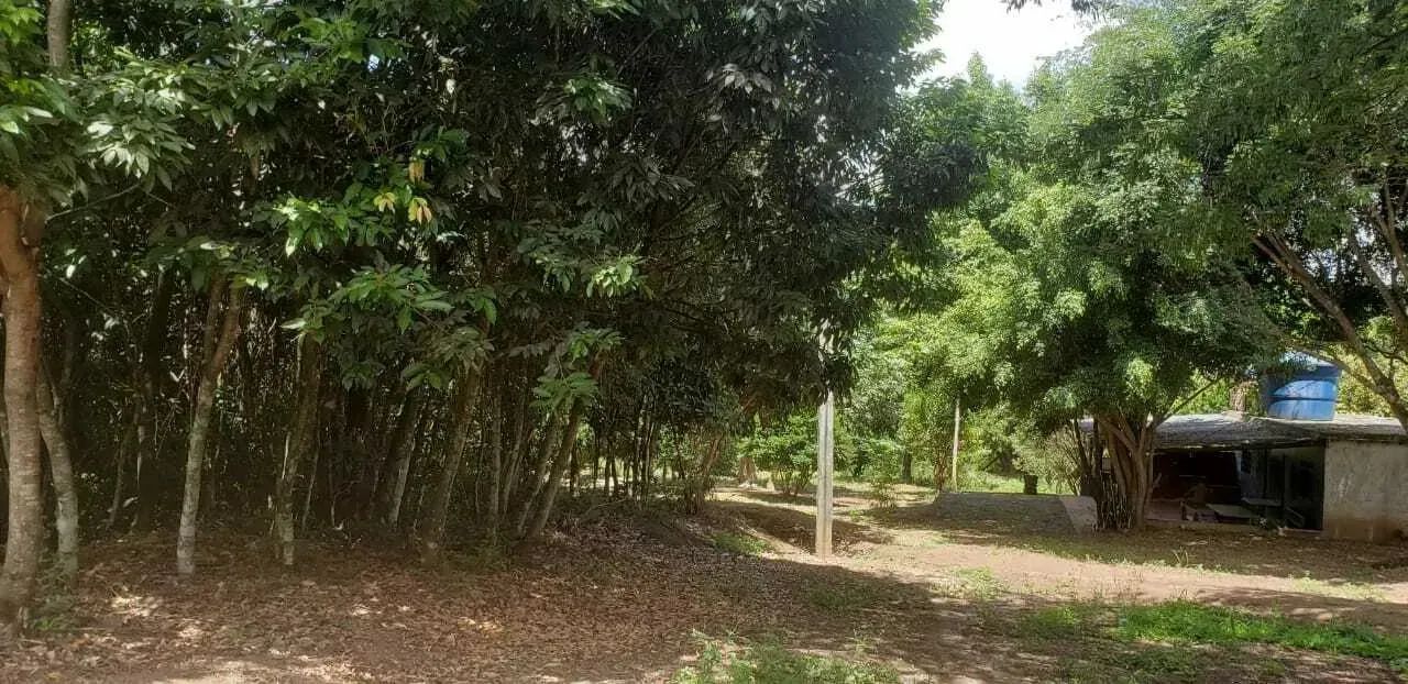 Sítio em MG 432 KM 15.7 - Caracóis de Baixo - Esmeraldas/MG - Foto 3