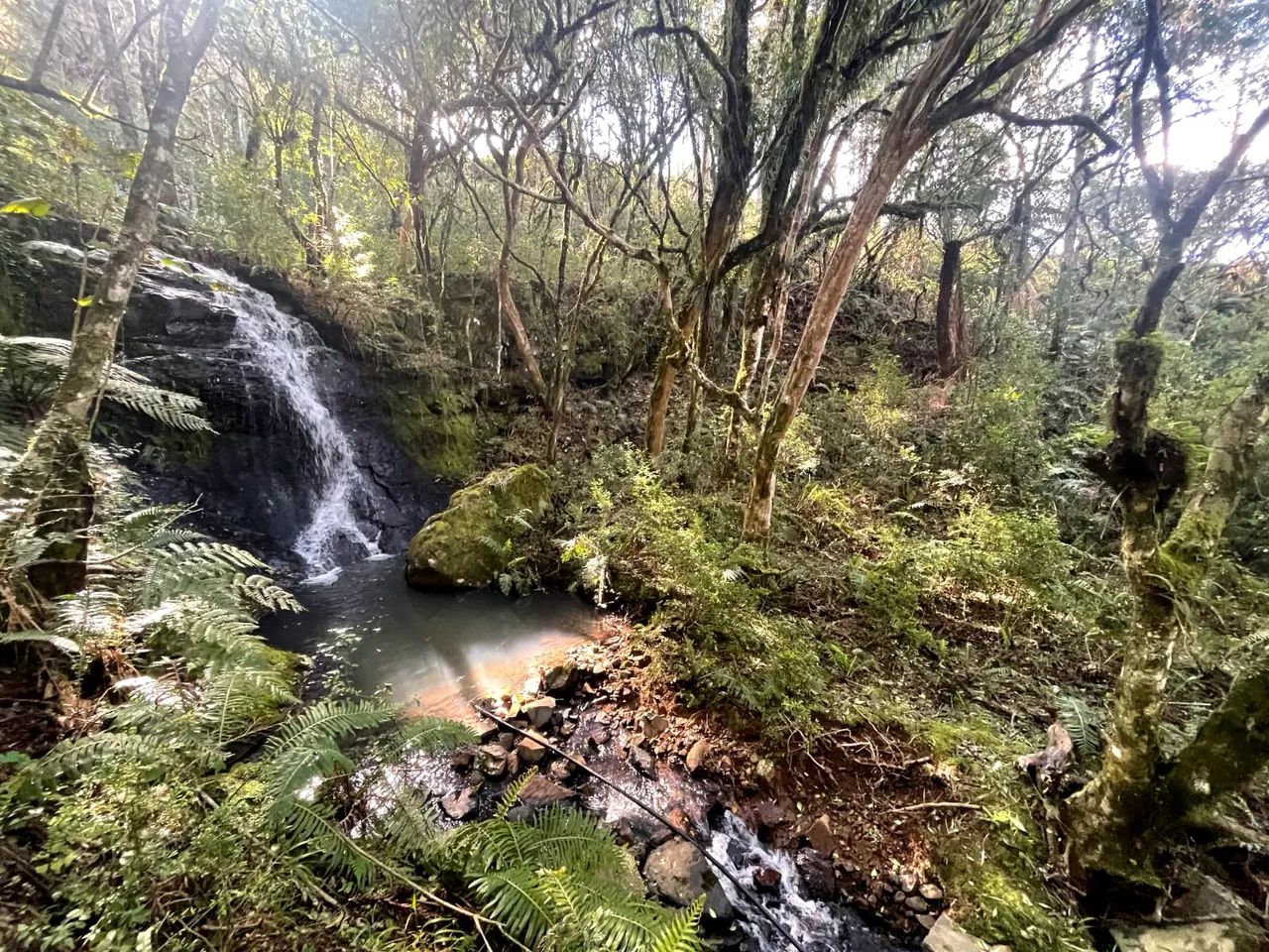 Terreno de altitude com 24 hectares à venda em Urubici/ São Joaquim.