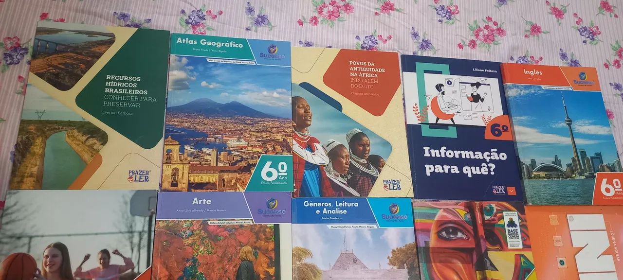 Livros 6° ano editora sucesso - Foto 4
