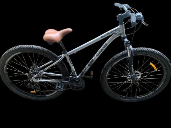 Bicicleta Caloi Mountain Bike Aro 29 C/21 marchas