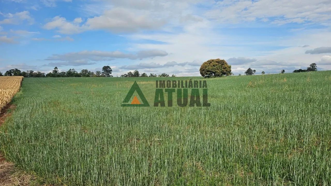 Sítio com 05 alqueires em Jataizinho - Foto 4