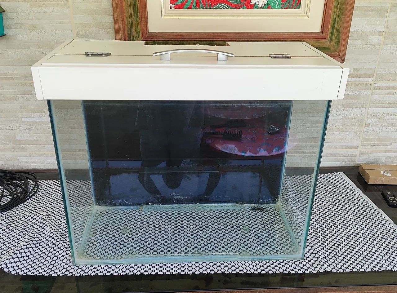 Aquário  - Foto 2