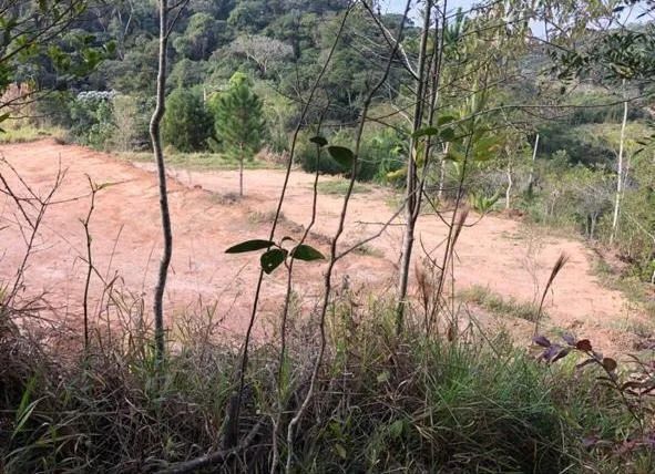 Terreno no Beija Flor - Foto 5