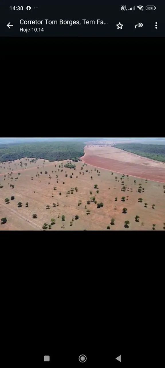 Fazenda arrendamento 3.000 hec em pasto, libera acima de 500hec 1° as no outro mais  - Foto 2