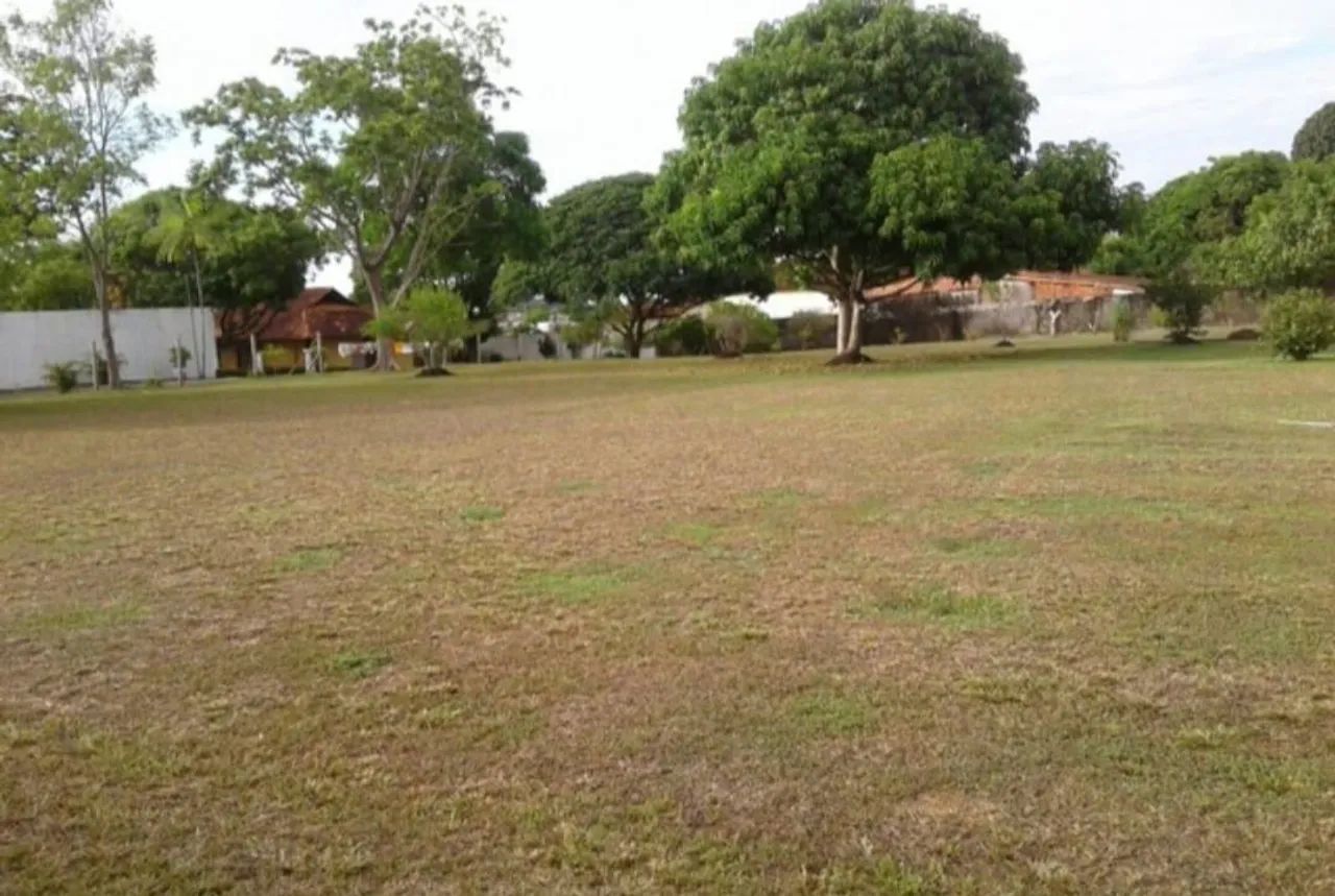 TERRENO EM PARINTINS-AM  - Foto 4