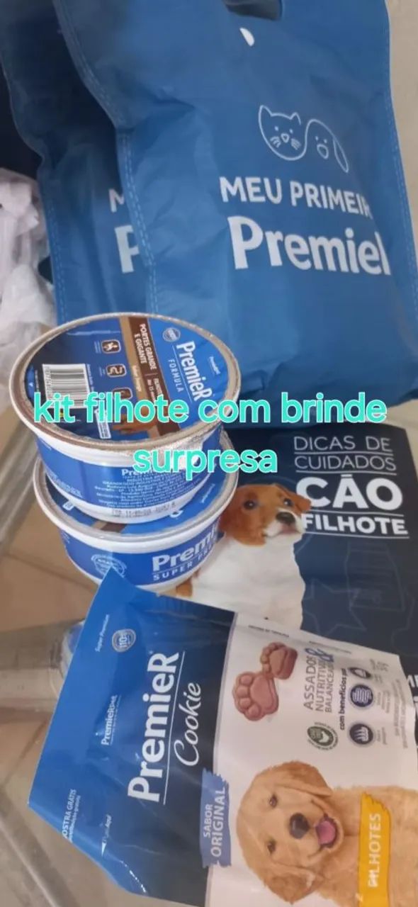 Belíssimos filhotes de dachshund disponíveis para reserva  - Foto 5