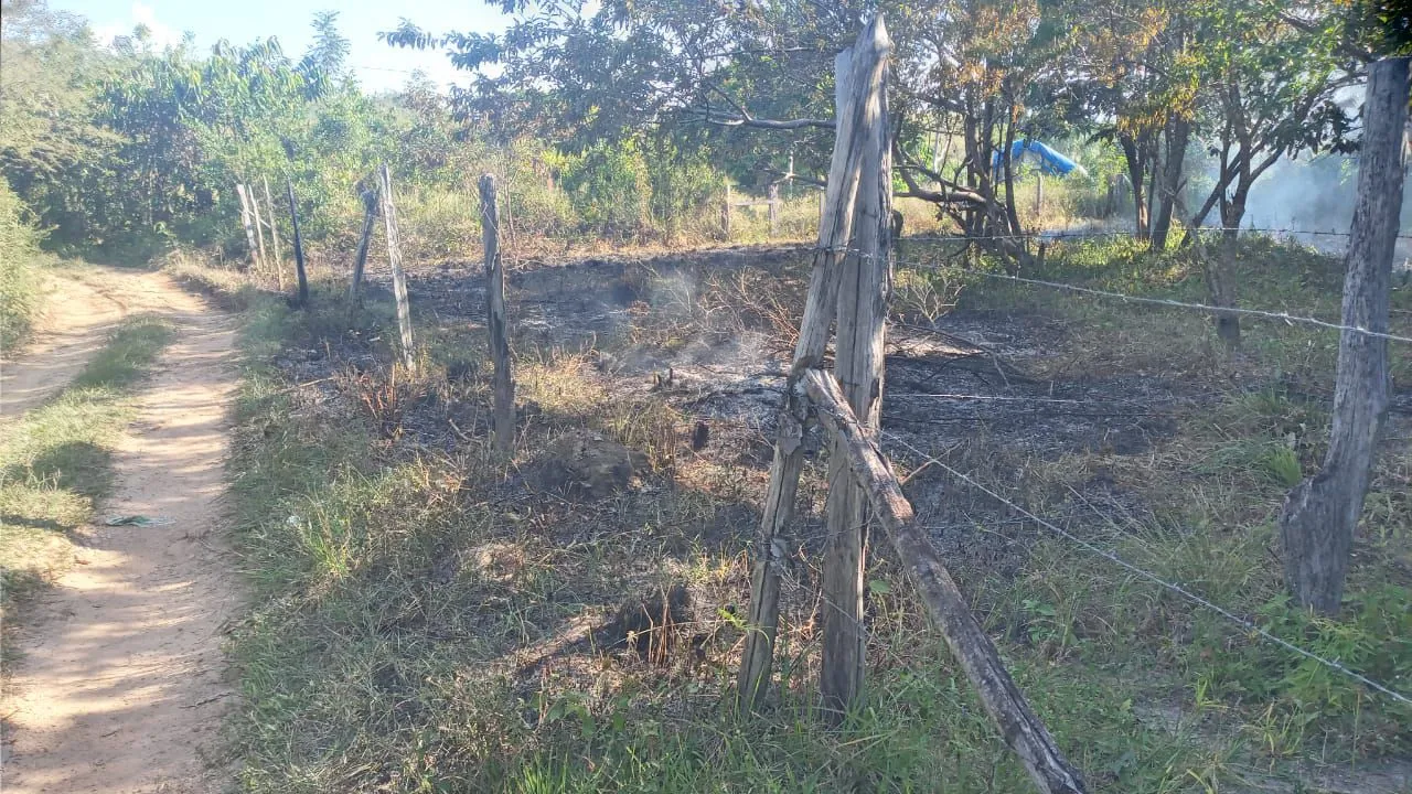 Venda