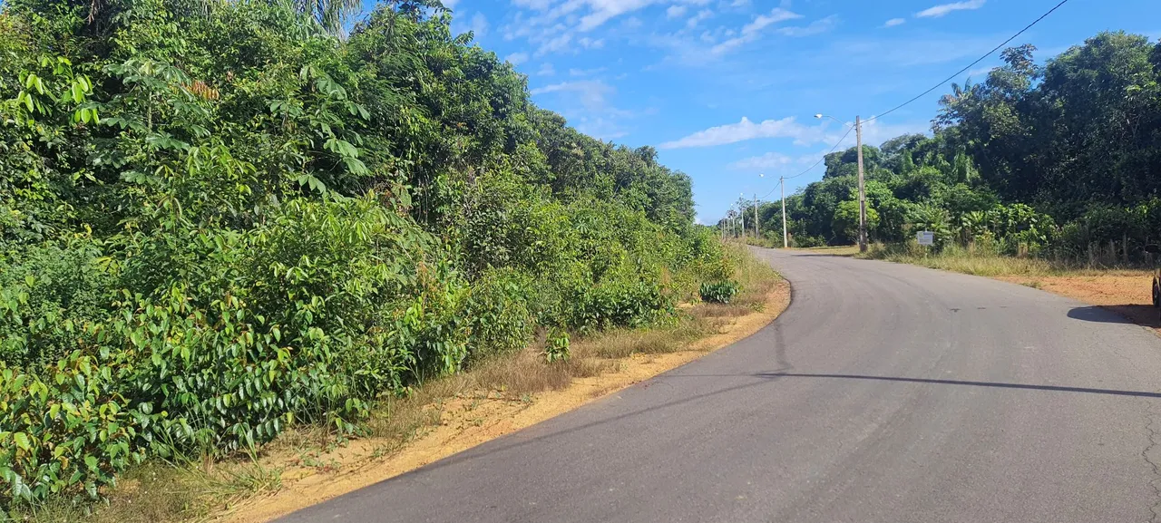 Chacara sitio lote condomínio de chácara chácaras Rio Negro