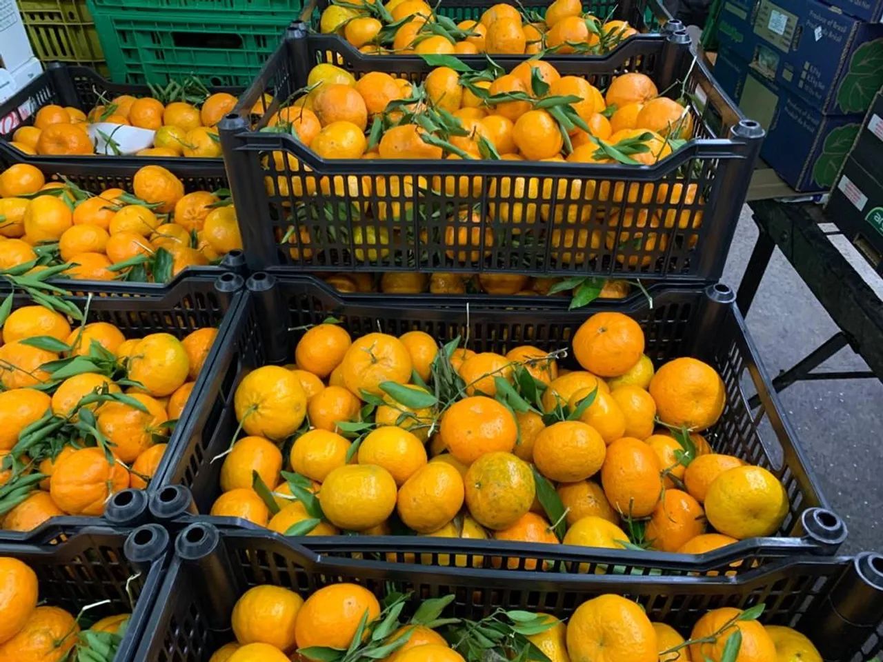 Stackable Perforated Boxes64985849788291123