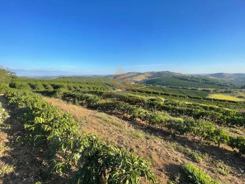 Fazenda - São Lourenço - Zona Rural