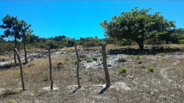 2 LOTES 50x30 (PARCELO) - Foto 3