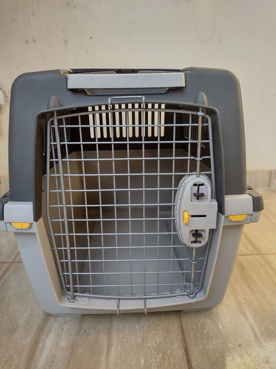 Pet64314061578883122