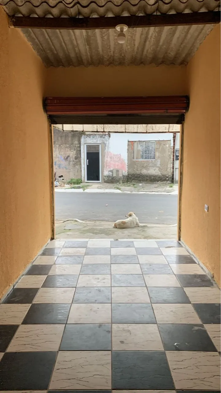 Alugo ponto para comércio