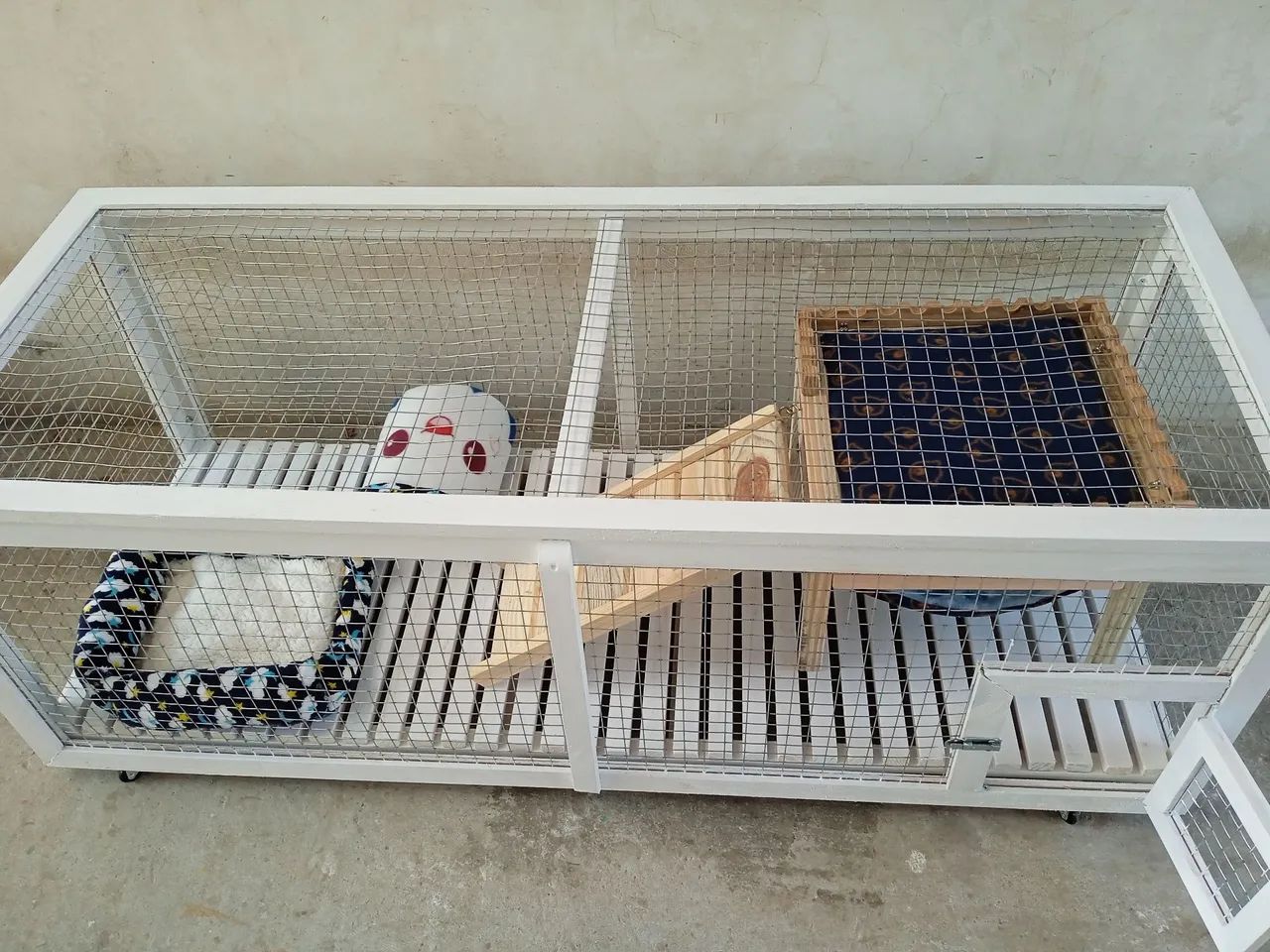 Cercadinho para porquinho da índia  - Foto 4